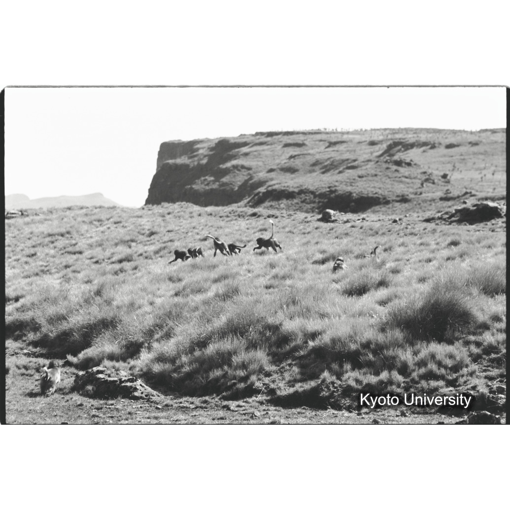 [２２コマ目]「コドモのあそび（４）」 (1)