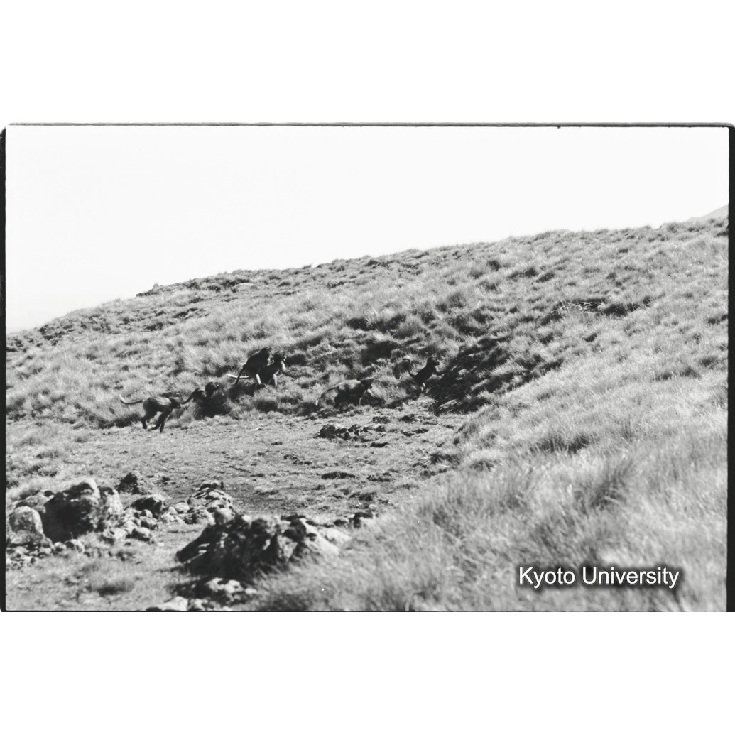 [２７コマ目]「コドモグループ（７）」 (1)