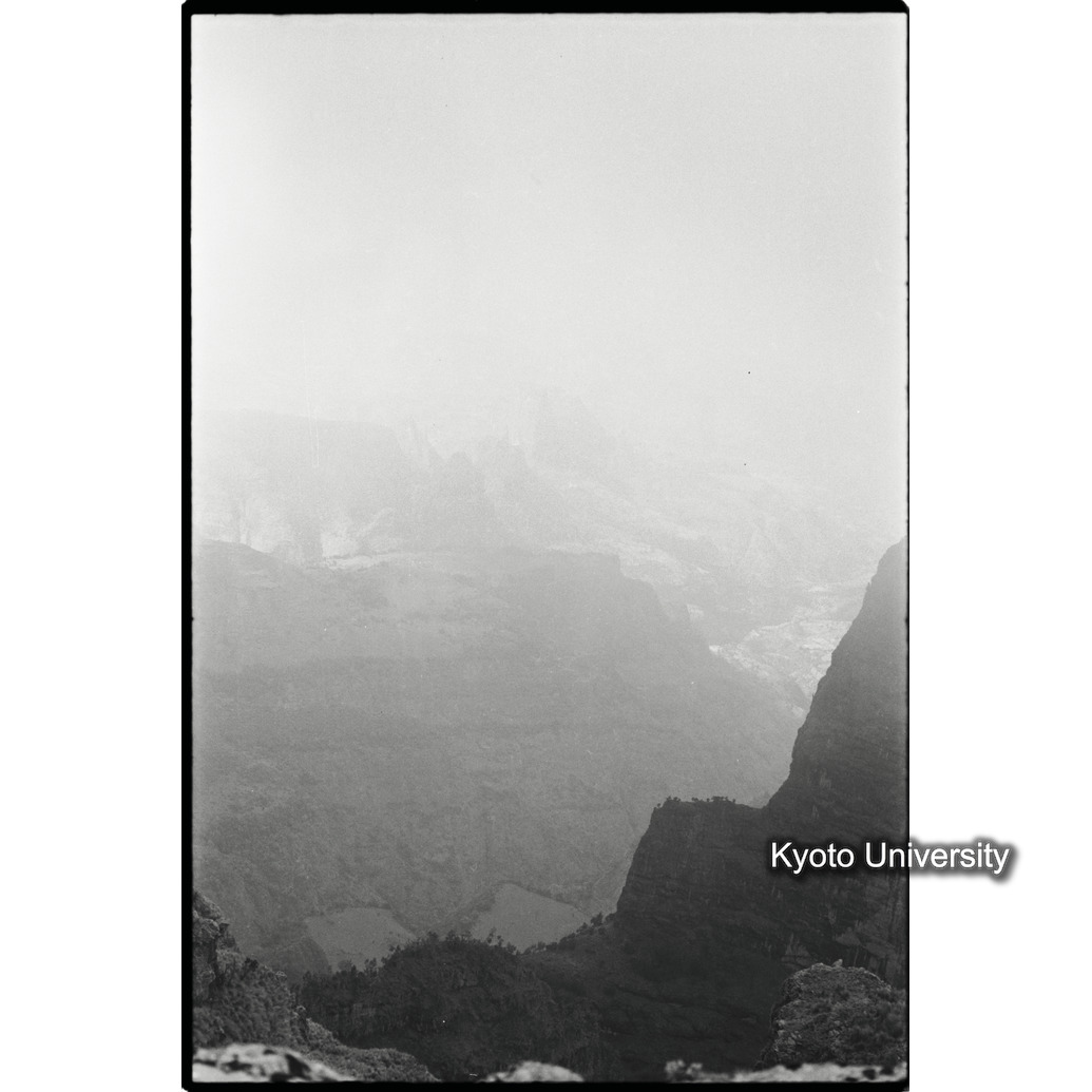 [２０コマ目]「×」 (1)