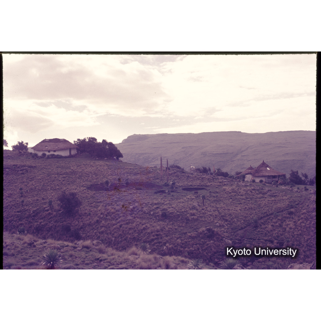 Sm　1973　1078 (1)