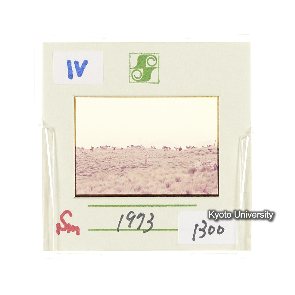 Sm　1973　1300 (2)