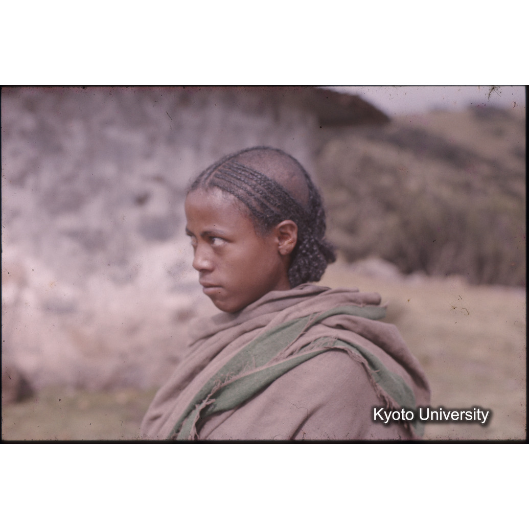 AdAb　1973　28 (1)