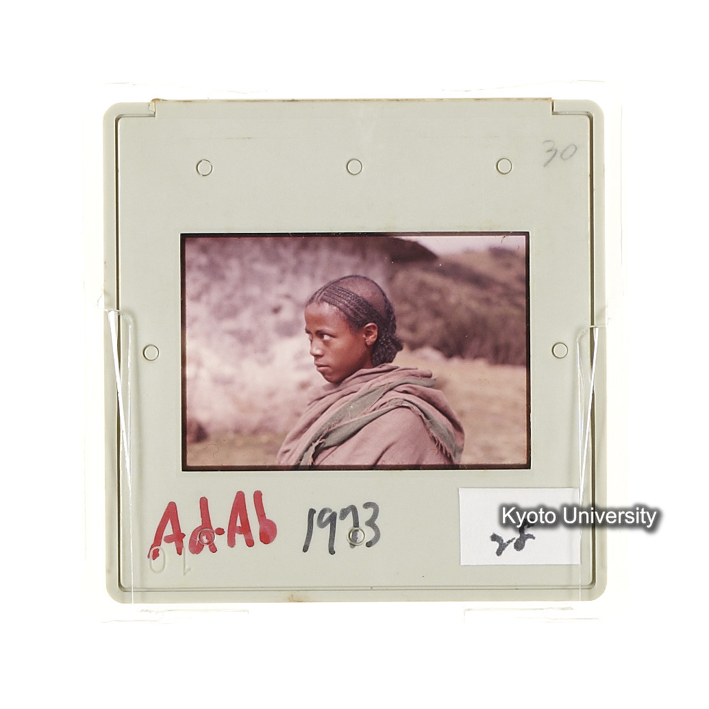 AdAb　1973　28 (2)