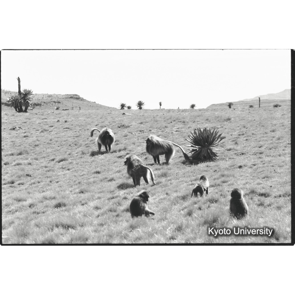 [２５コマ目]「タハイユニット（４）」 (1)