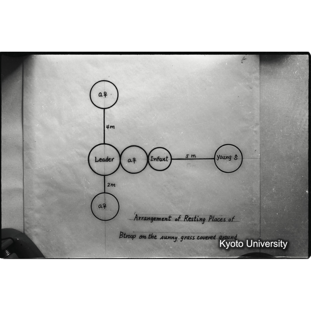 [６コマ目]「資料のまとめ（成果）」 (1)