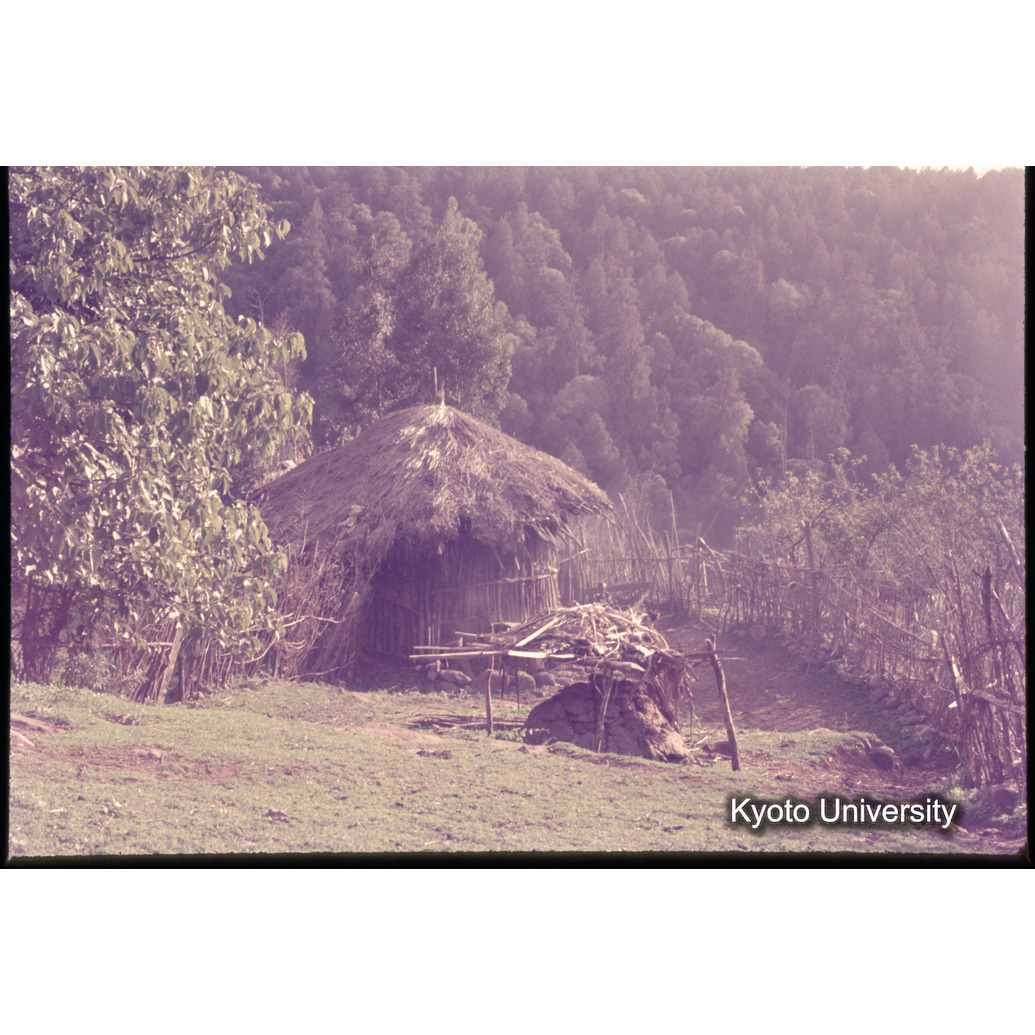 Sm　1973　1090 (1)