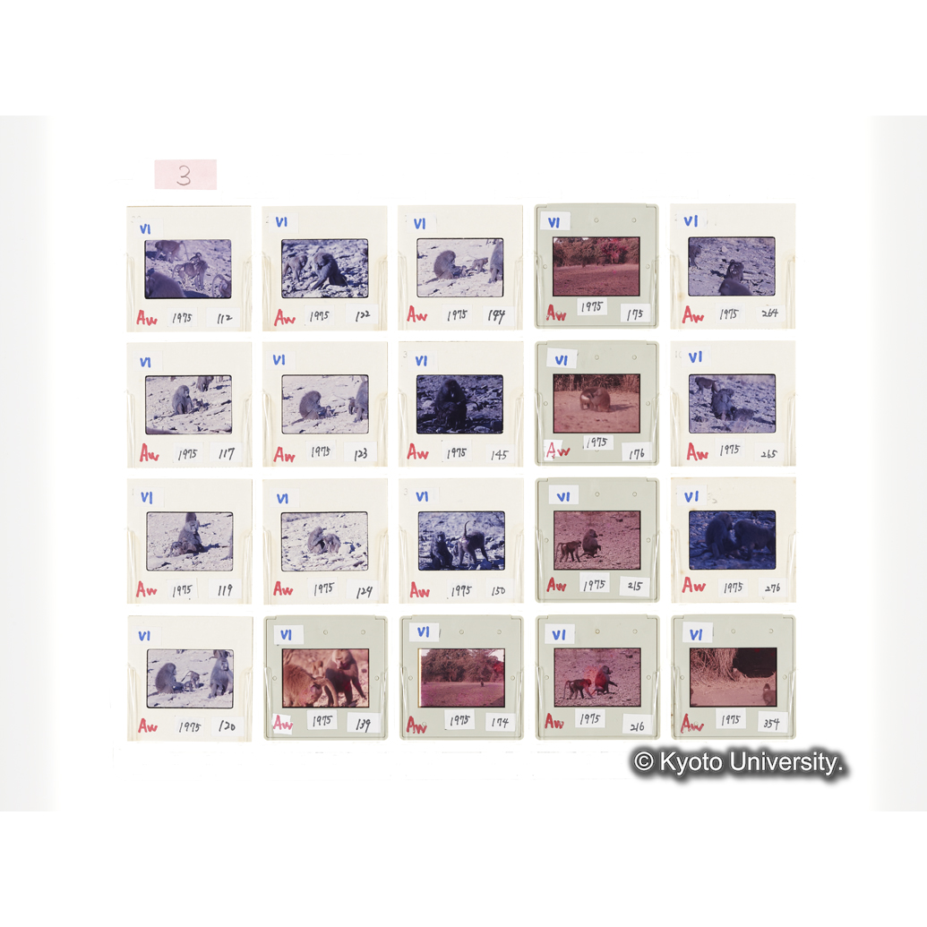 [スライドシート] 3 (1)