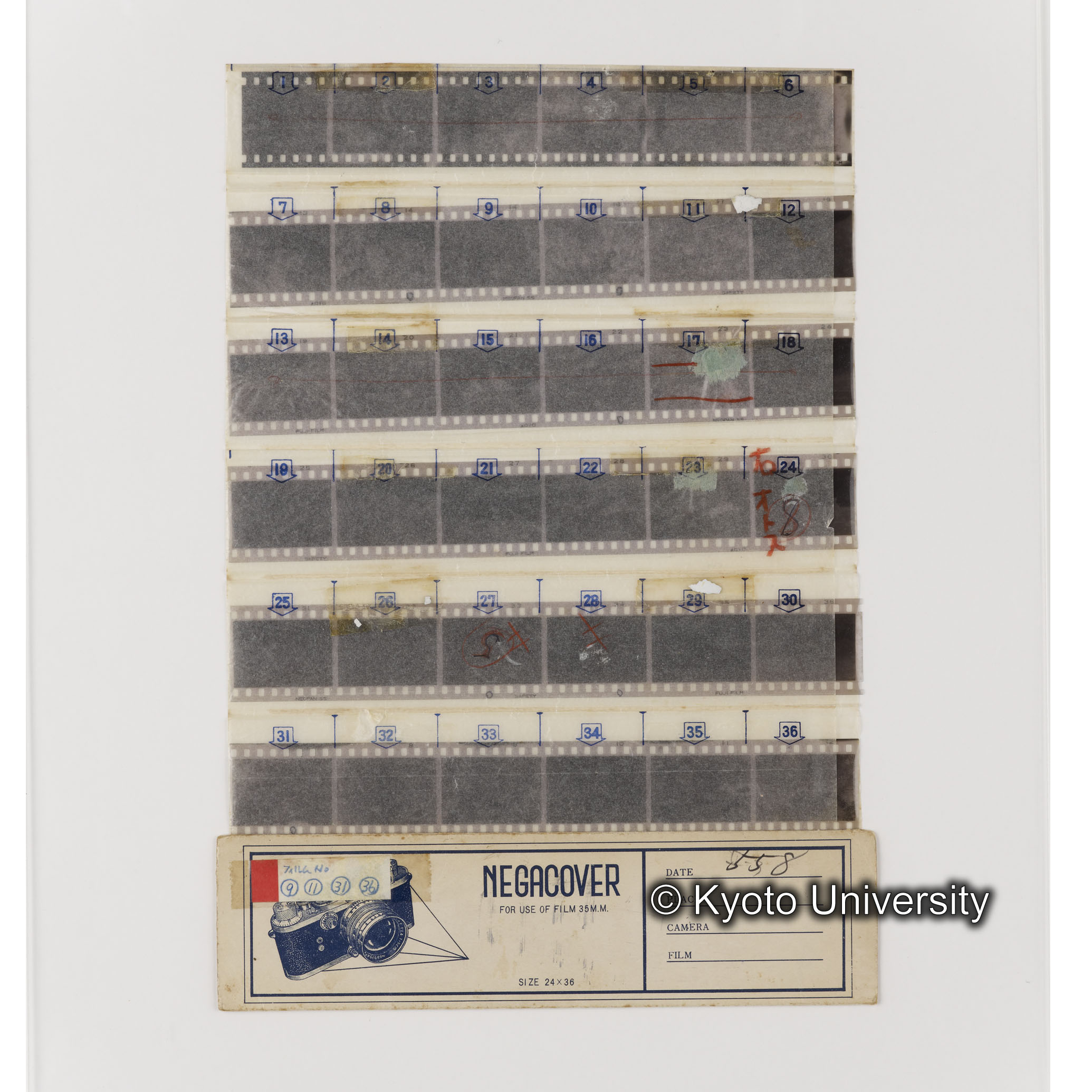 [ネガフィルムスリーブ28]「５５８」 (1)