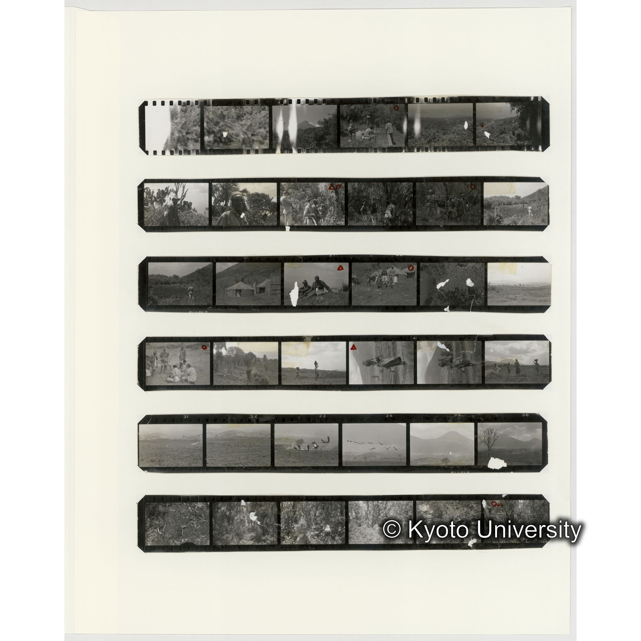 [ネガフィルムスリーブ28]「５５８」 (2)