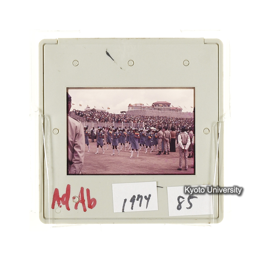 AdAb　1974　85 (2)