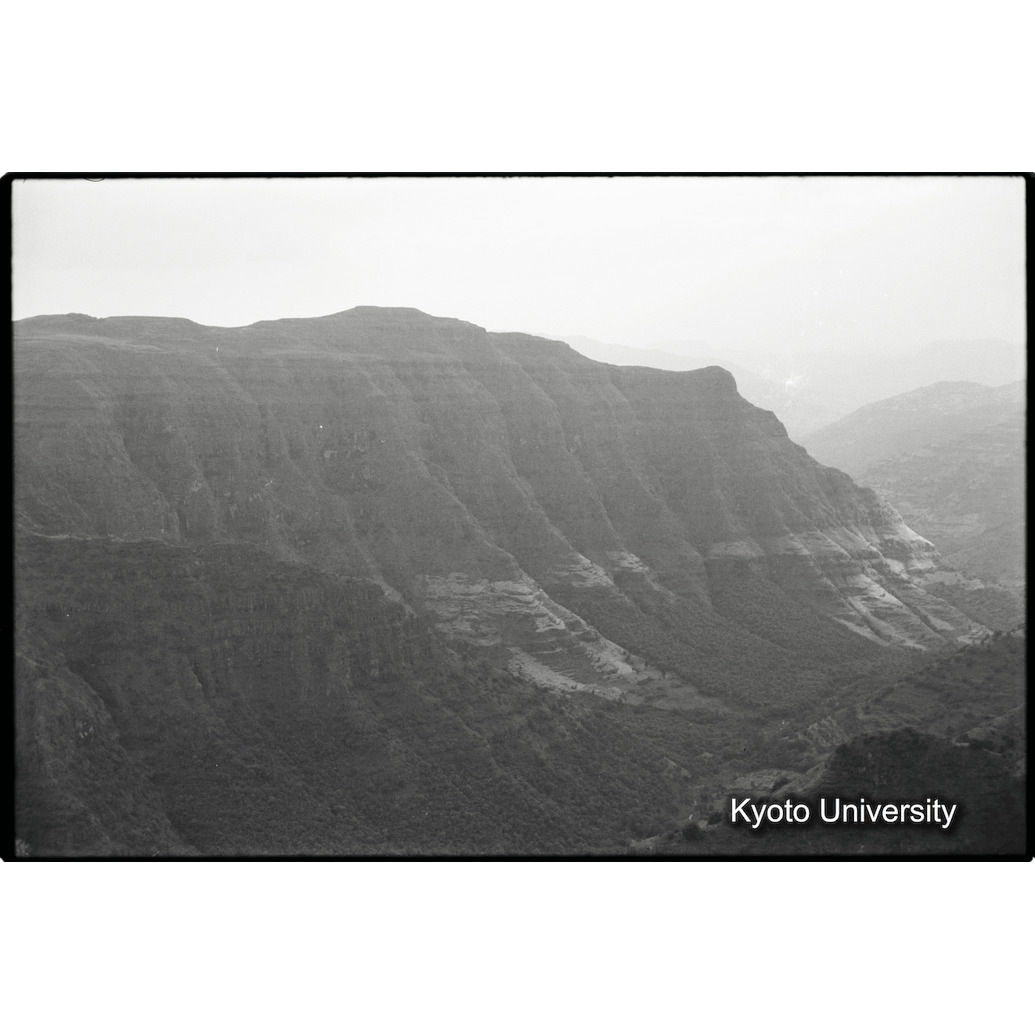 [８コマ目]「×」 (1)