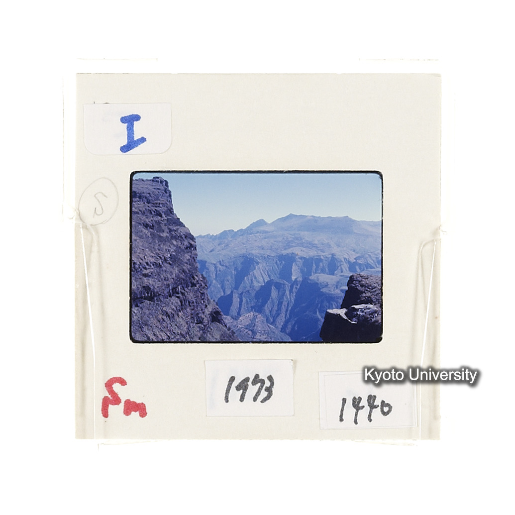 Sm　1973　1440 (2)