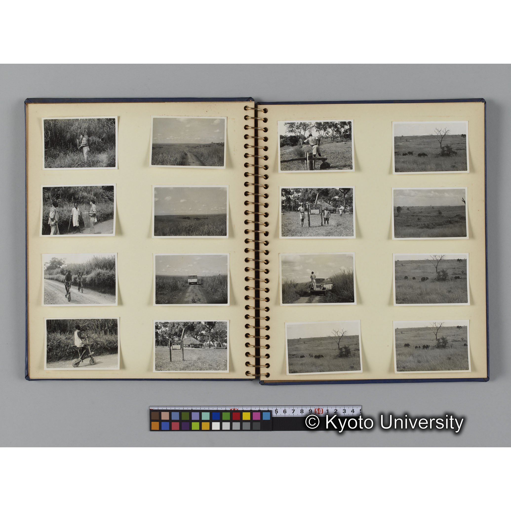 [見開き９]「マーチソンフォールズ国立公園」 (1)