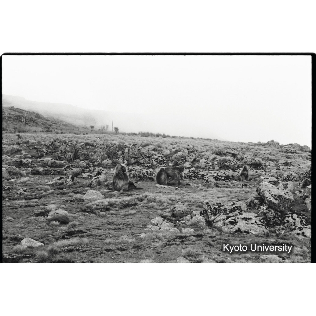 [３０コマ目]「休息」 (1)