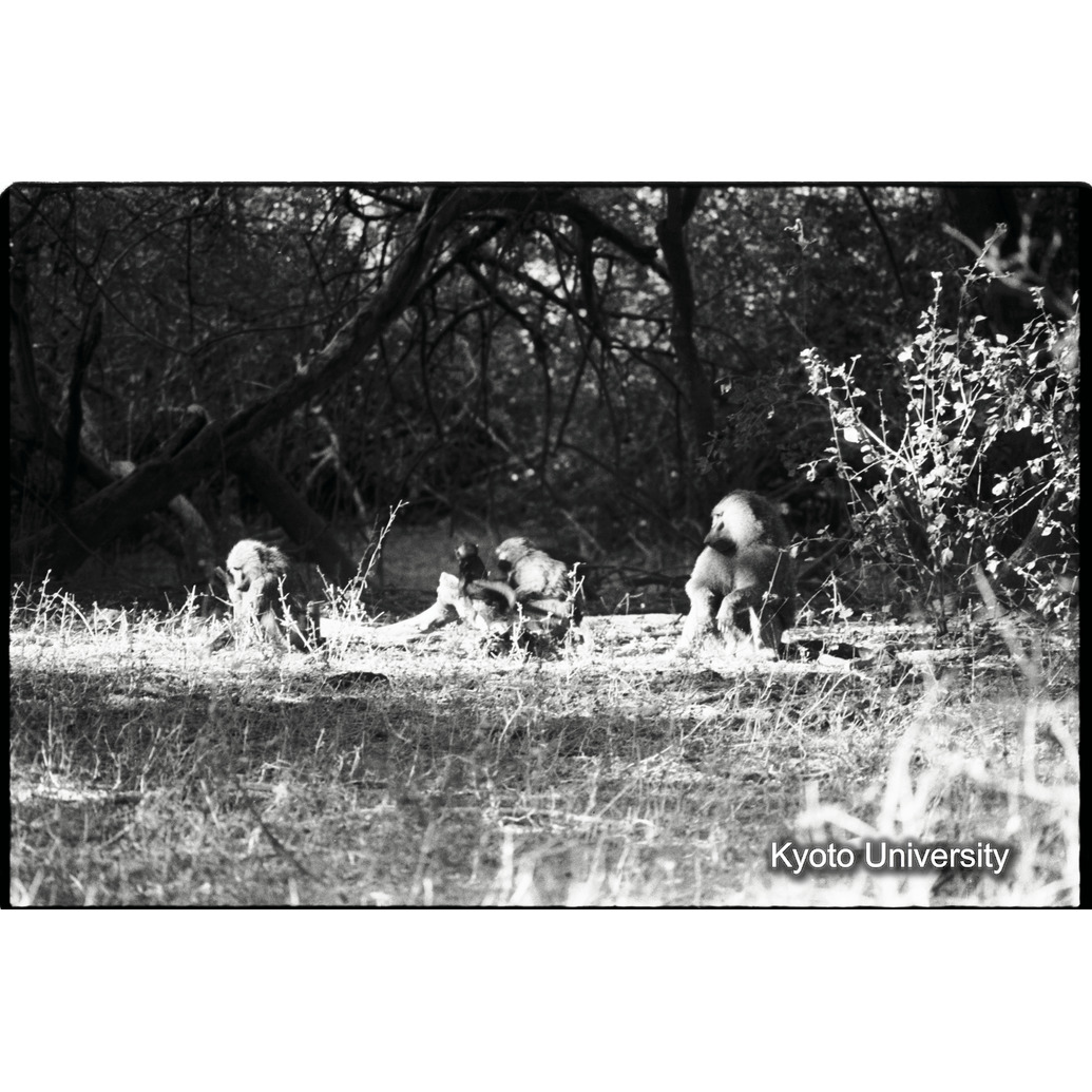 [３８コマ目]「×」 (1)