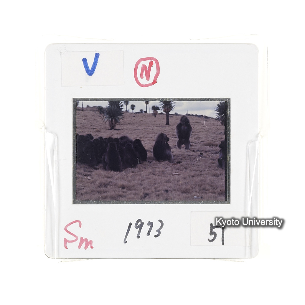 Sm　1973　51　（N）[赤色, 丸囲み] (2)