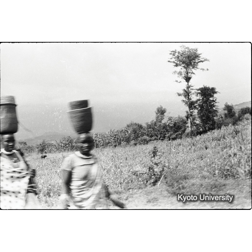 [8コマ目]「×」 (1)