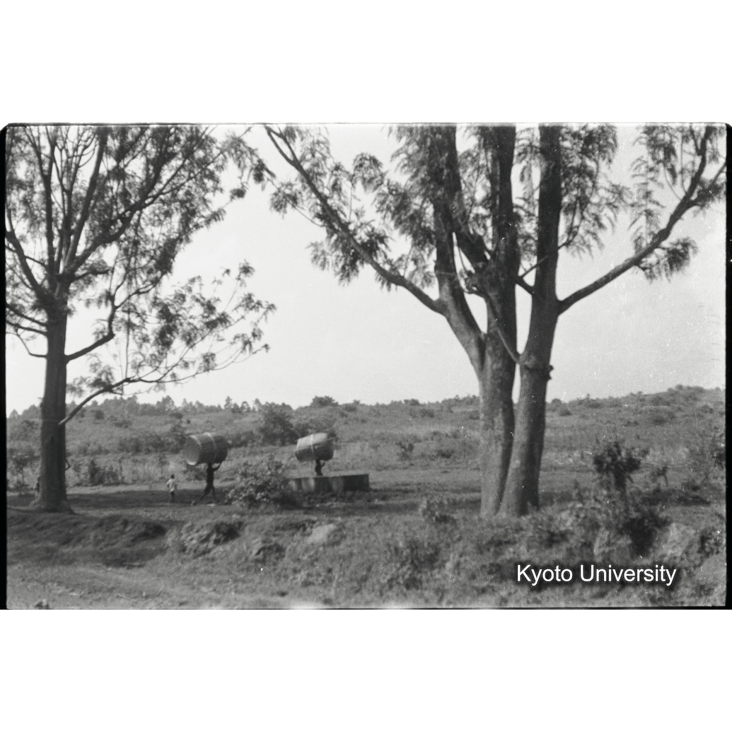 [6コマ目]「頭にのせて運搬」 (1)