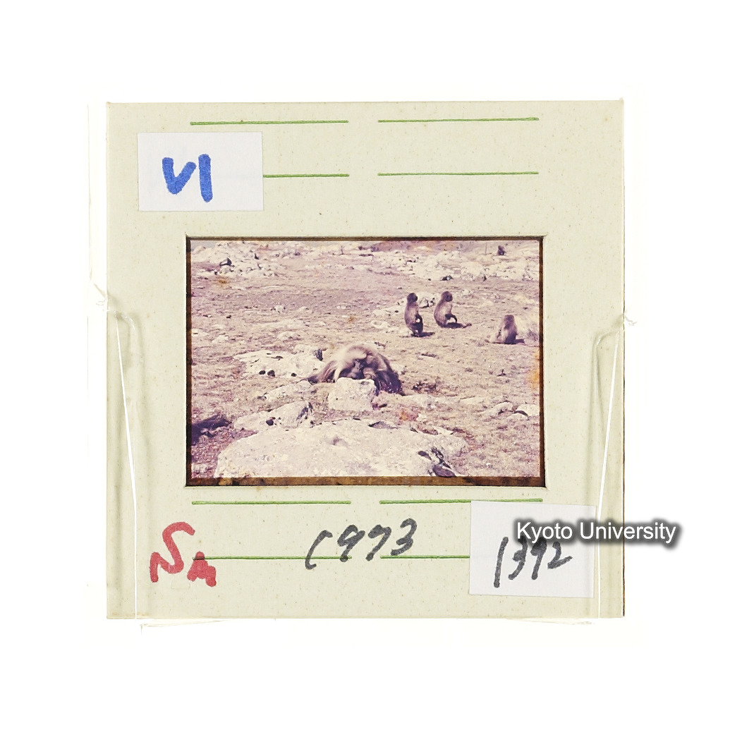 Sm　1973　1392 (2)