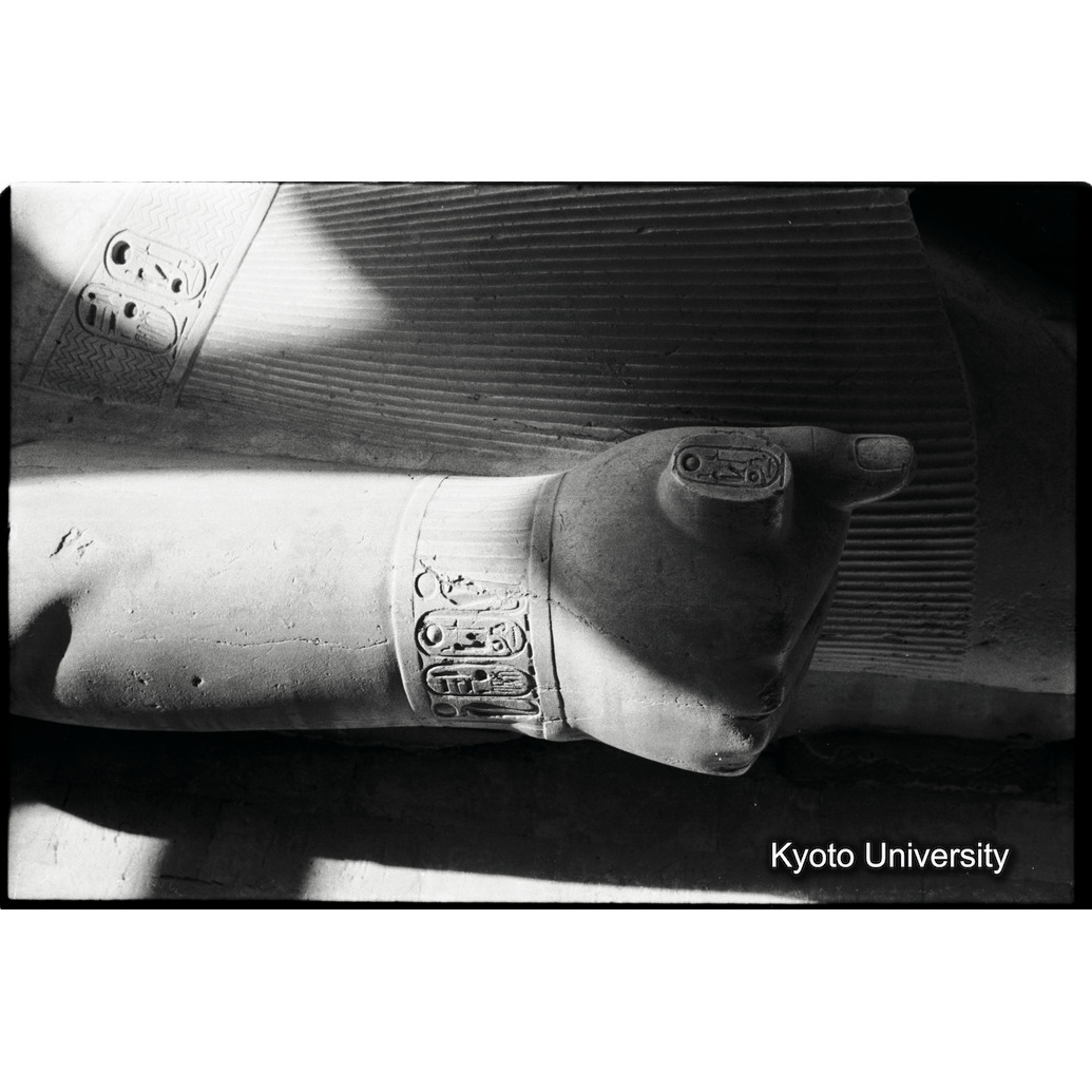 [５コマ目]「トランジットのエジプト」「×」 (1)