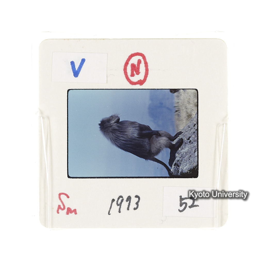 Sm　1973　52　（N）[赤色, 丸囲み] (2)