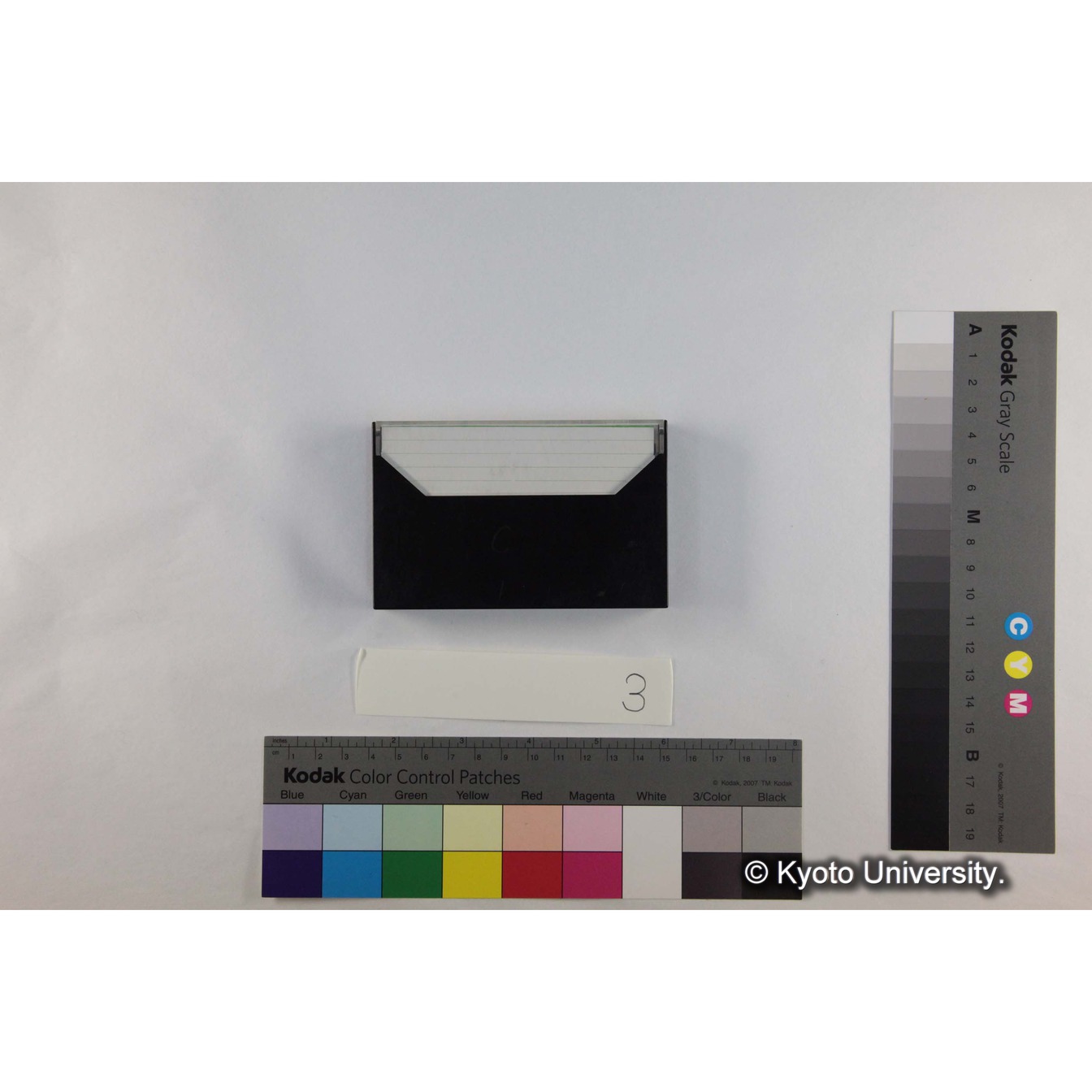 [ケース]3「Gelada音声2] (2)