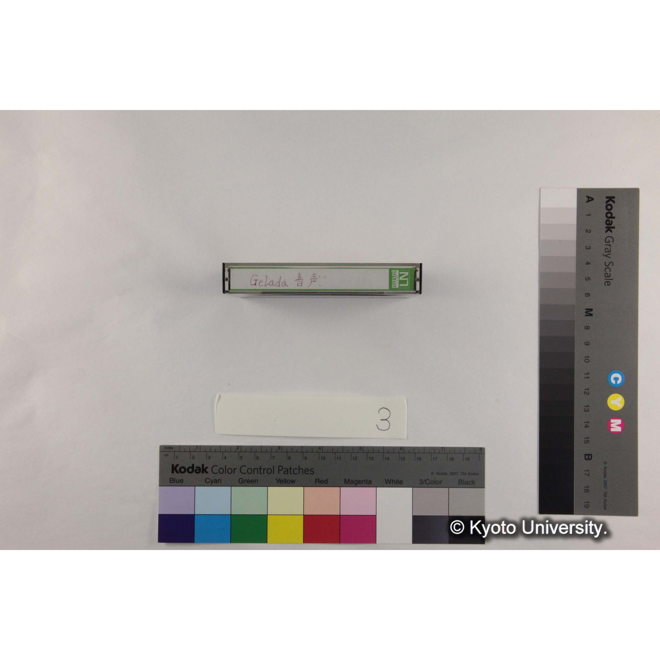 [ケース]3「Gelada音声2] (4)