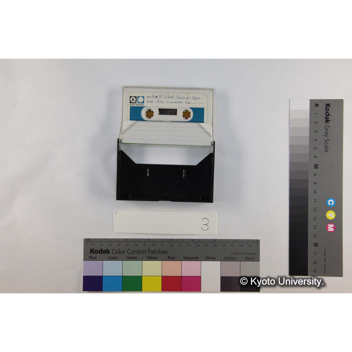 [ケース]3「Gelada音声2] (5)