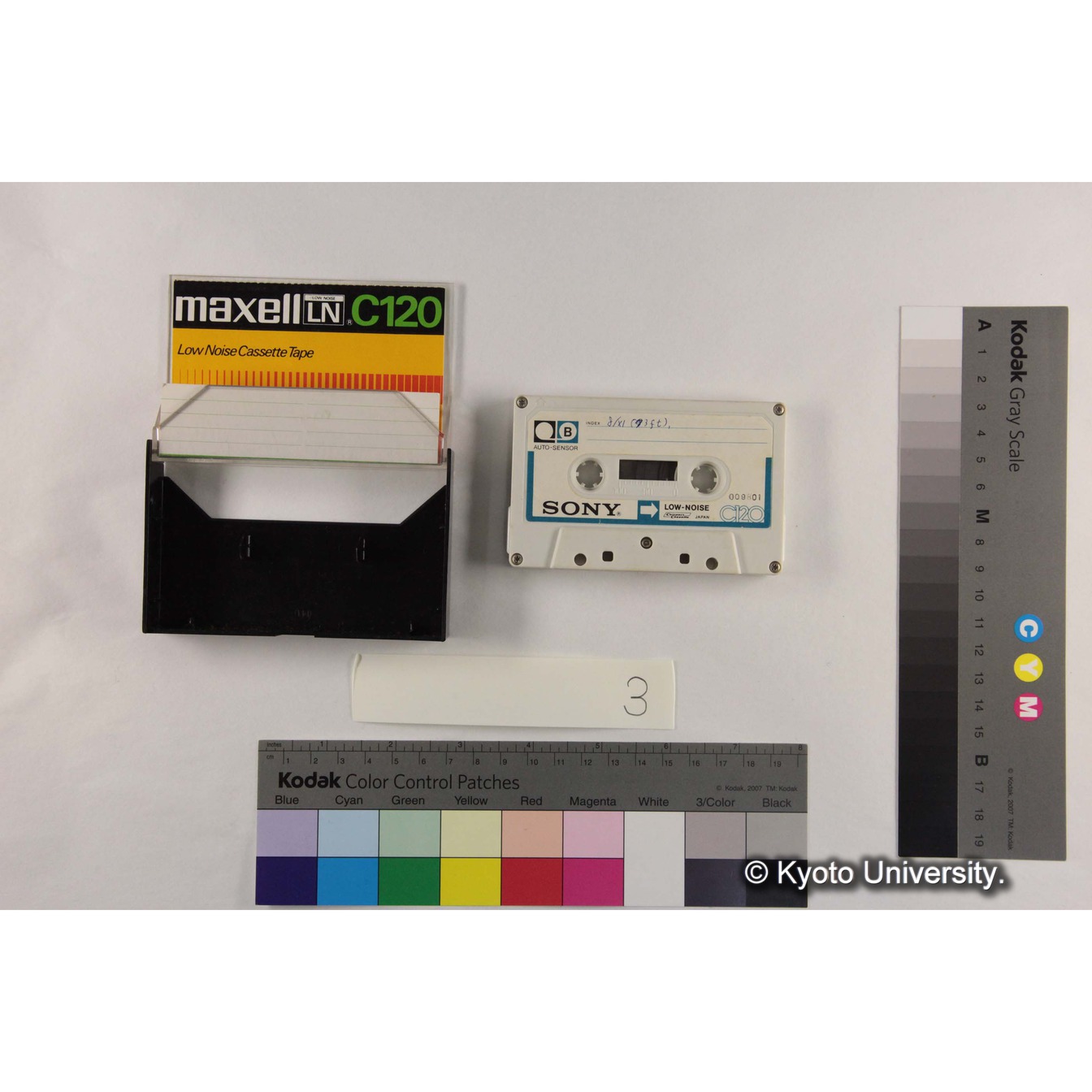 [ケース]3「Gelada音声2] (6)