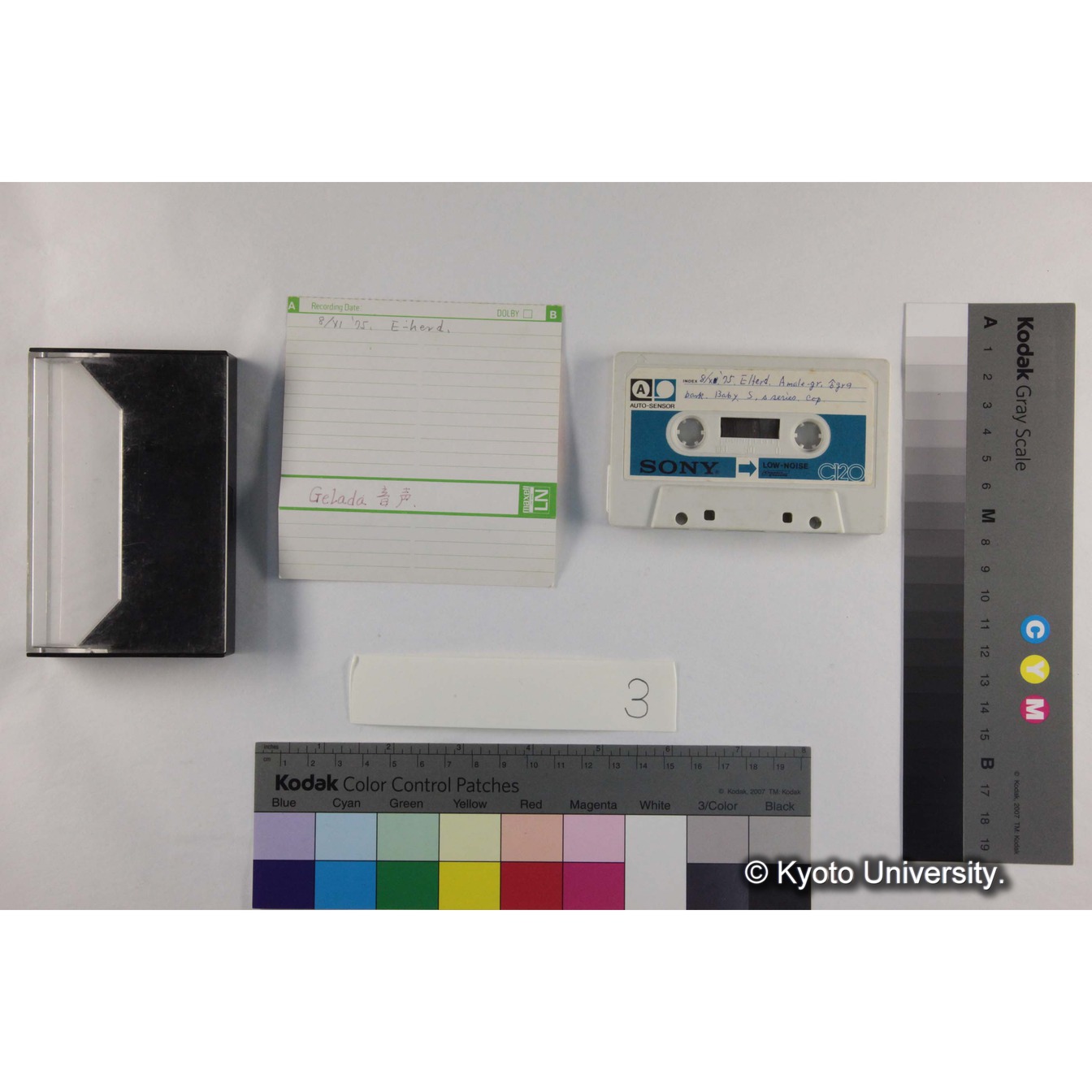 [ケース]3「Gelada音声2] (7)