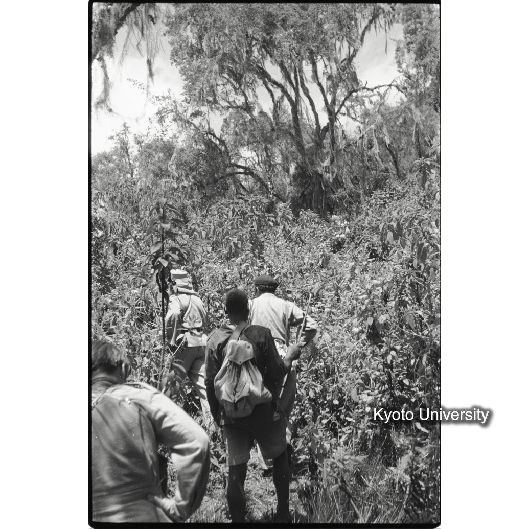 [35コマ目]「調査」 (1)