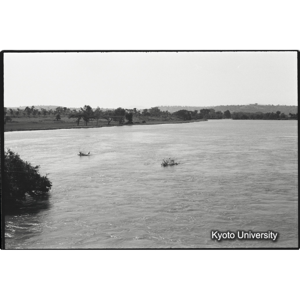 [８コマ目]「タナ湖（６）」 (1)