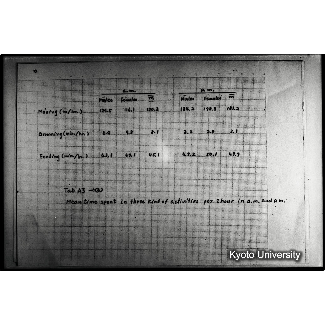 [２４コマ目]「×」 (1)