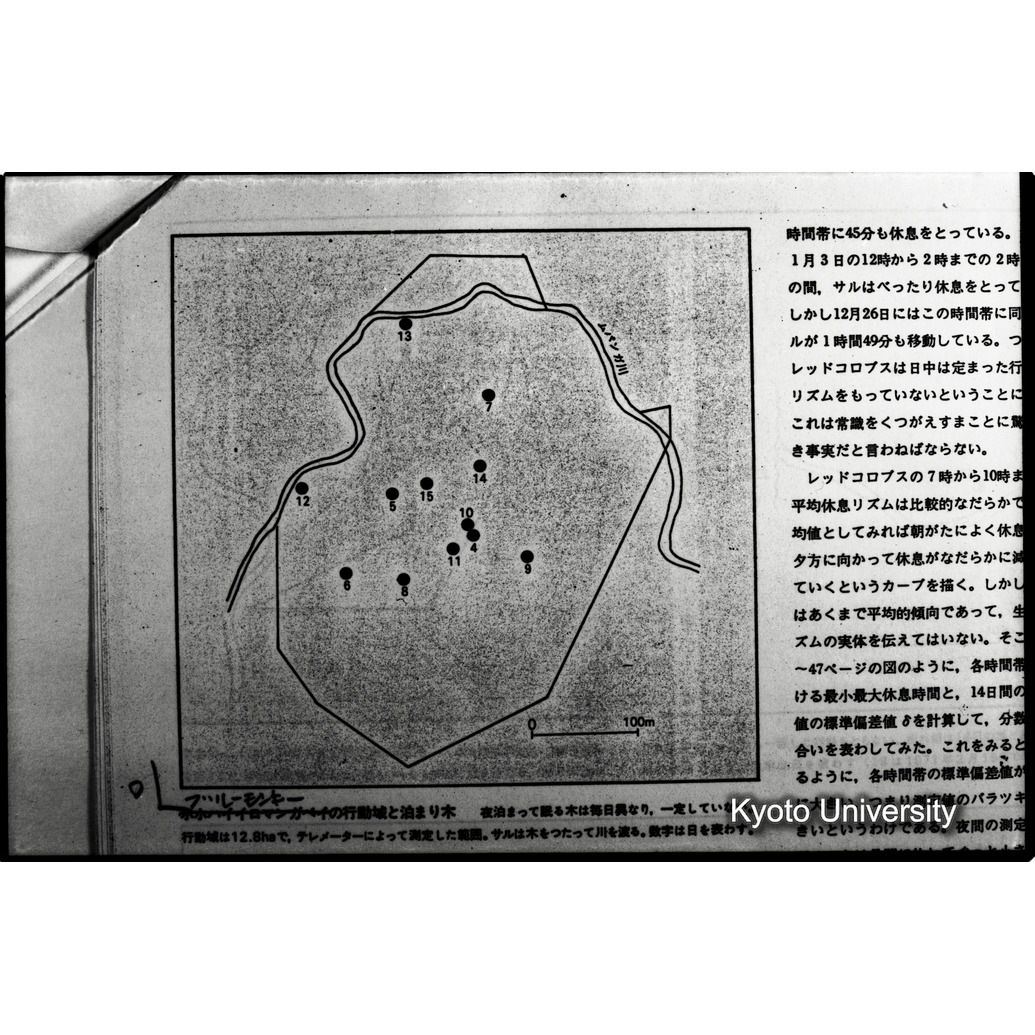 [１６コマ目]「×」 (1)