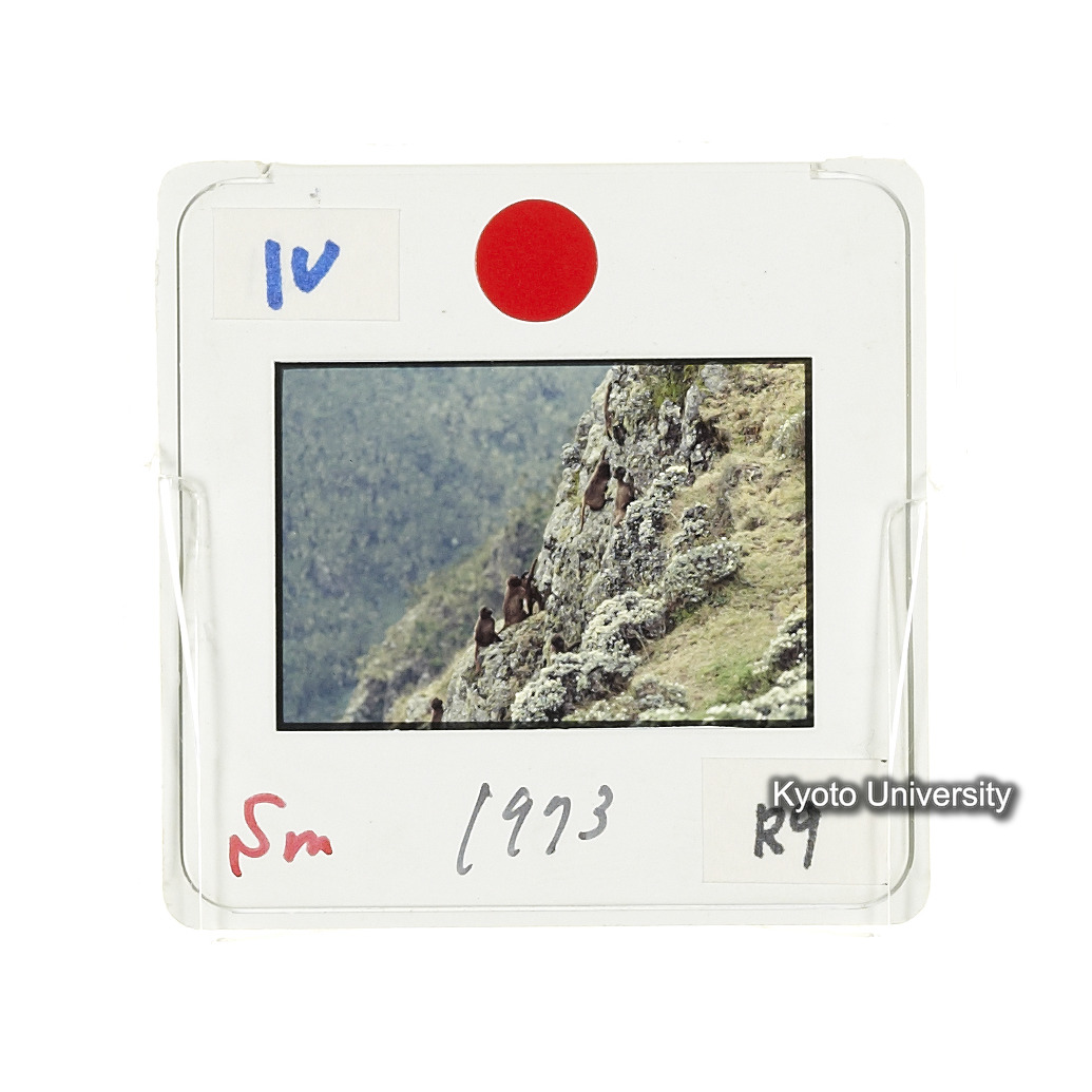 Sm　1973　R9　●[赤色シール] (2)