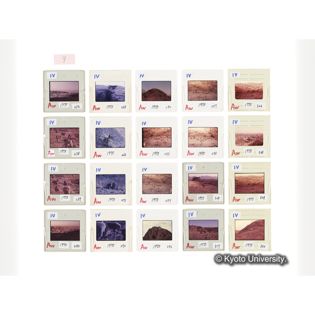 [スライドシート] 9 (1)