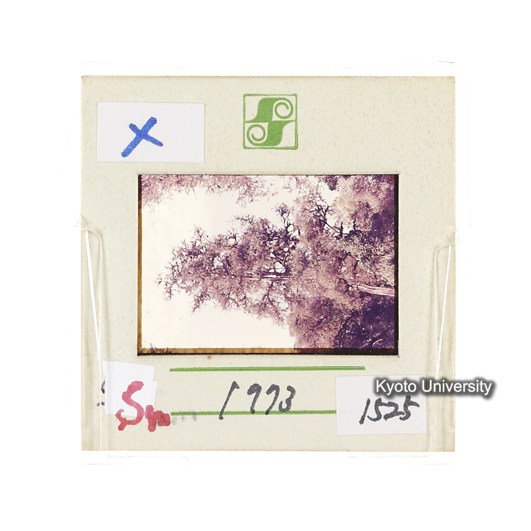 Sm　1973　1525 (2)