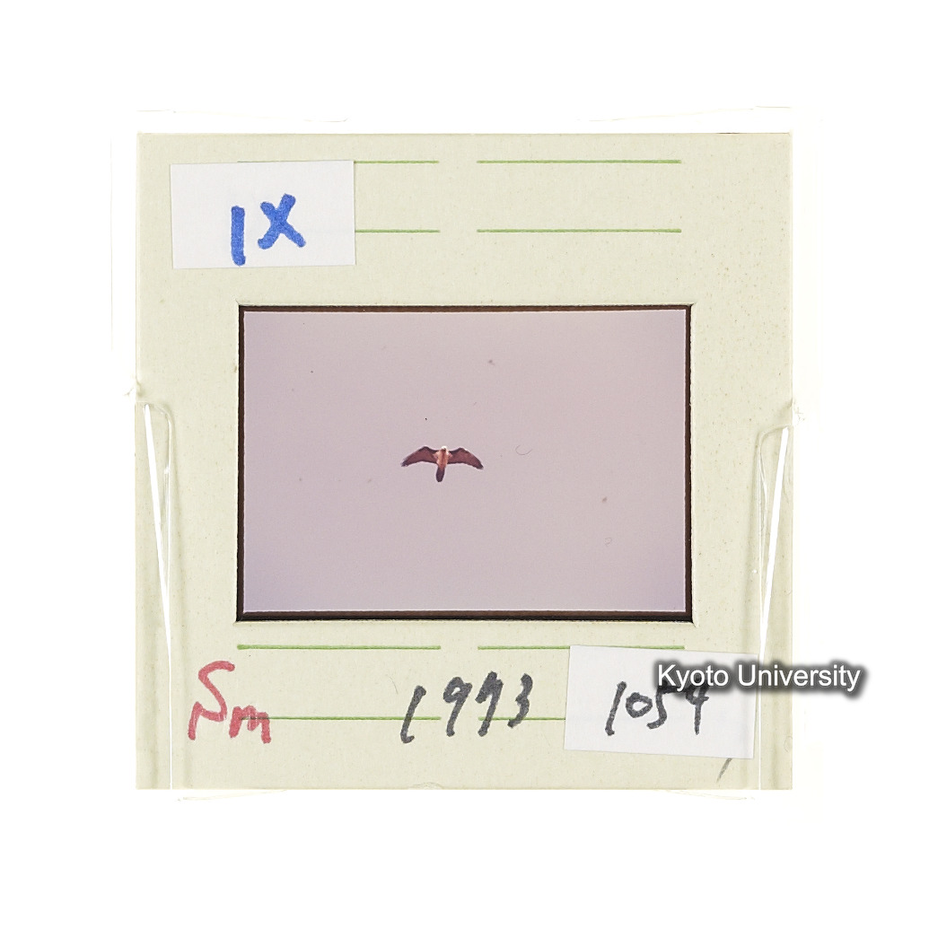 Sm　1973　1054 (2)