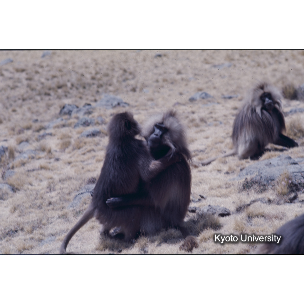 Sm　1973　64　（N）[赤色, 丸囲み] (1)