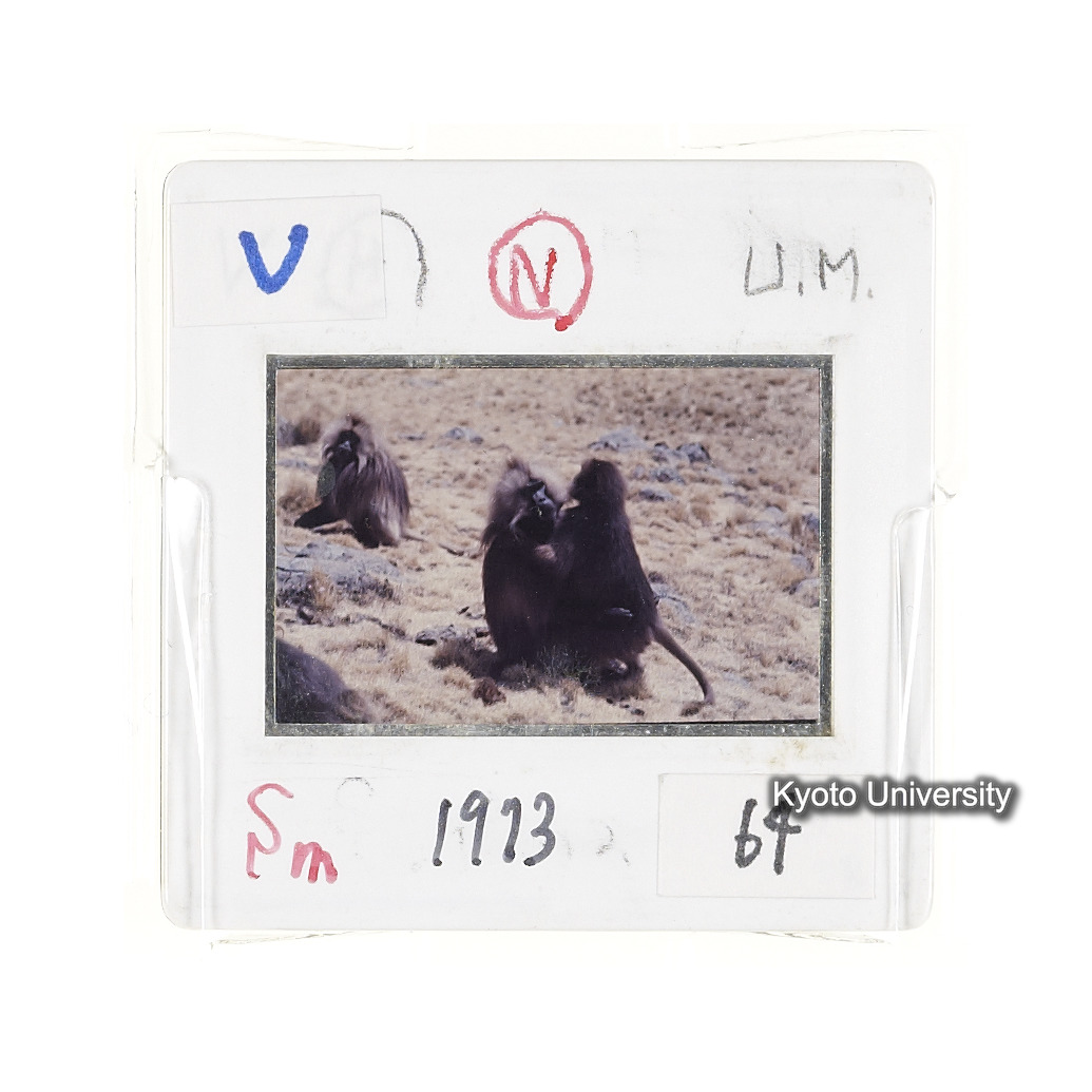 Sm　1973　64　（N）[赤色, 丸囲み] (2)