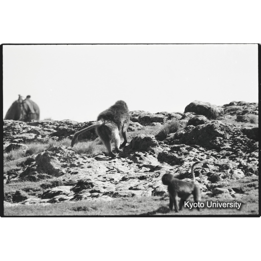 [８コマ目]「×」 (1)