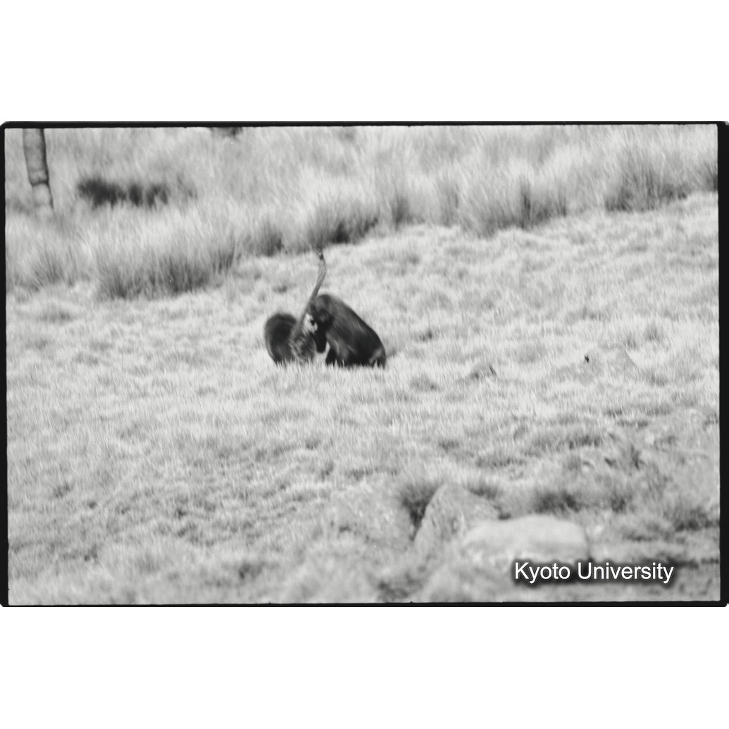 [１１コマ目]「×」 (1)