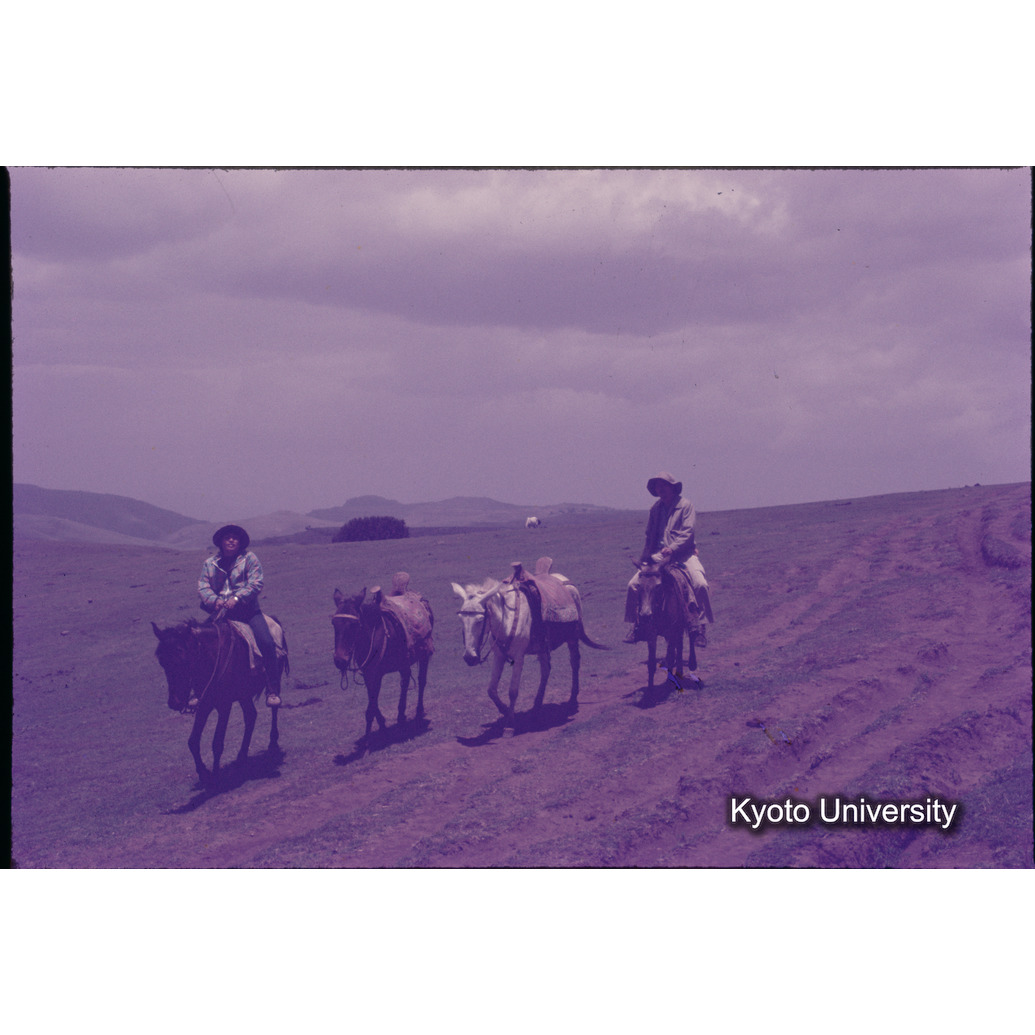 Sm　1973　1455 (1)