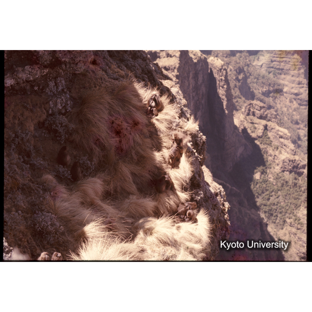 Sm　1973　1364 (1)