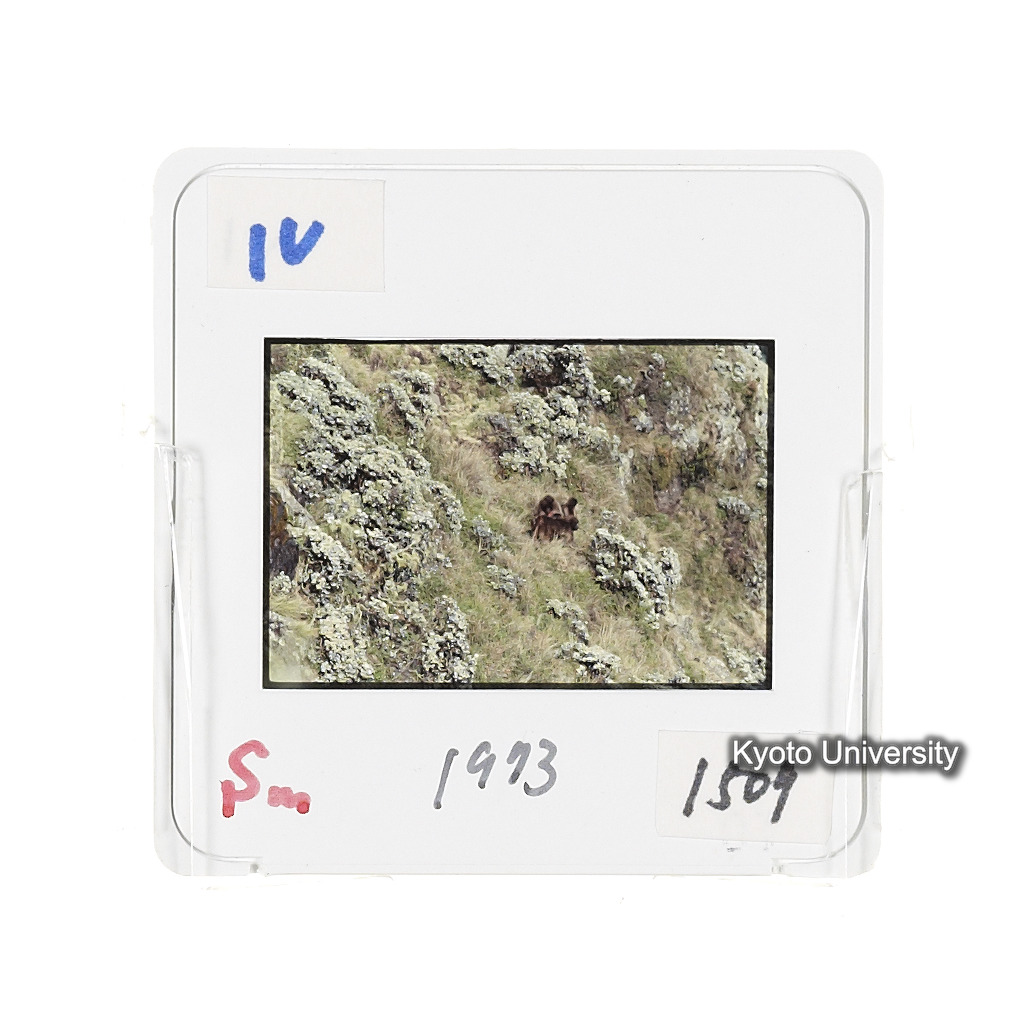 Sm　1973　1509 (2)