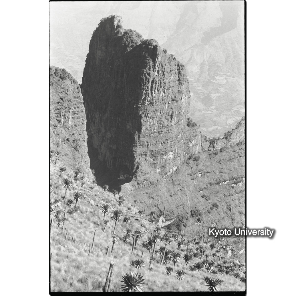 [２２コマ目]「高地の一風景」 (1)