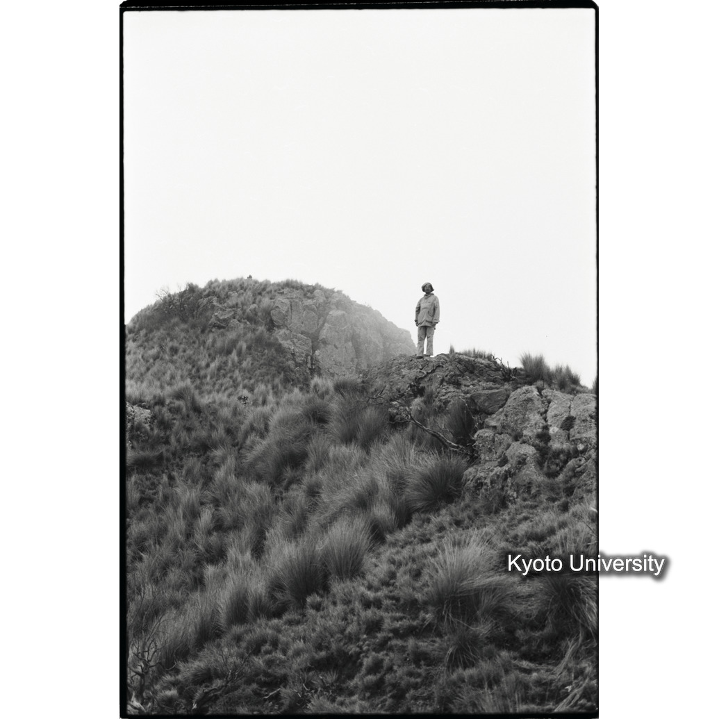 [１４コマ目]「カダディットの山頂を望む」 (1)