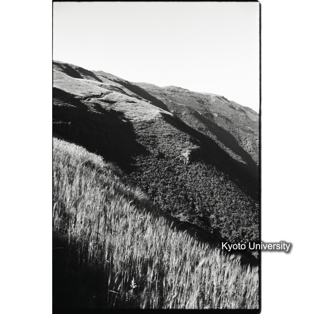 [２８コマ目]「アンバラスの斜面」 (1)