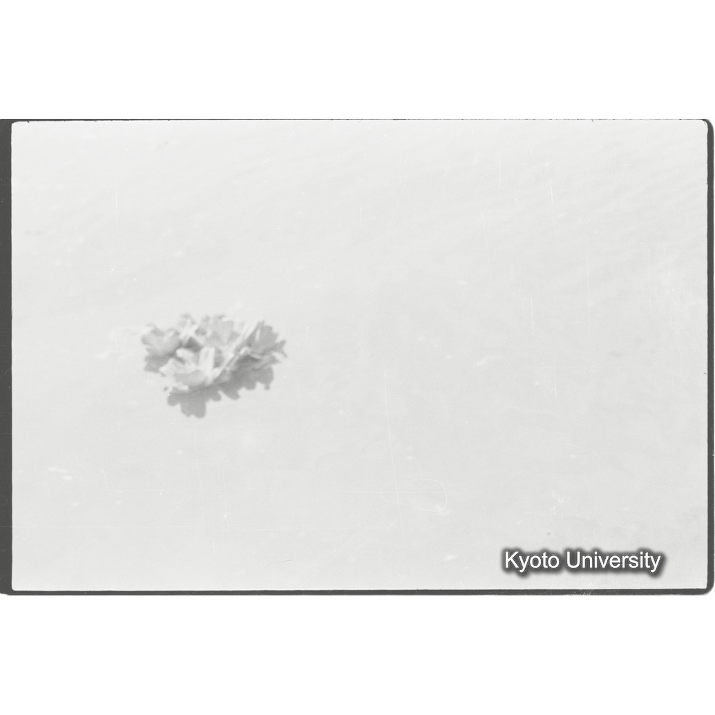 [３２コマ目]「×」 (1)