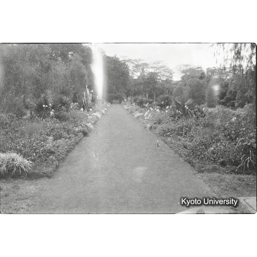 [1コマ目]「ナイロビの公園」 (1)